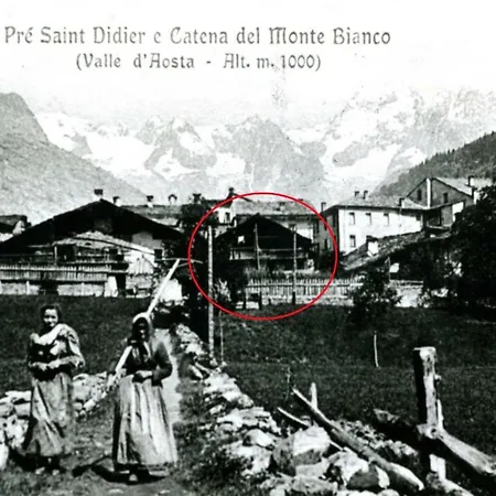 Lo Scoiattolo - Noce E Nocciola Daire *